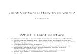 Lecture 6 Joint Ventures