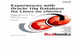 Experiences With Oracle 10g Database for Linux on zSeries Sg246482