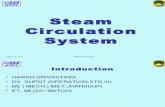 Steam Circulation System