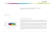 CIO Cloud Survey 04.2011