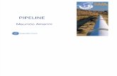 Pipelines - M. Amerini