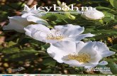 Meybohm Magazine May-June 2012