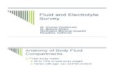 Fluid and Electrolyte Survey