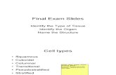 Final Exam Slides 2010a_print