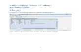 Versioning Documents in Webdynpro Abap ABAP