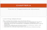 CHAPTER 6 - Forms of Organizational Structure