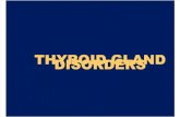 Thyroid Gland Disorders (Examville.com)