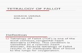 Tetralogy of Fallot Sp b.inggris