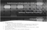 Subliminal Channels in DSA