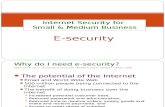 e Security Project