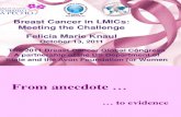 Avon Breast cancer in LMICs: Meeting the challenge 131011
