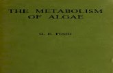 Foog, GE the Metabolism of Algae (1953) Book