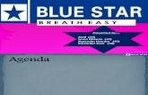Blue Star Ltd.