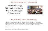 University of Houston Teaching Large Lecture Classes