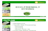 Eco Friendly Dyeing Final Version