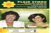 Ystrad Plaid Cymru Manifesto, Local Government elections 2012