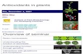 Antioxidants in Plants