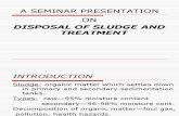 Disposal of Sludge and Treatment