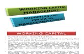Working Capital Management (BCM)