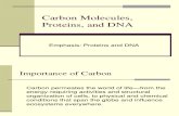 Lecture Carbon Molecules, Proteins, And DNA