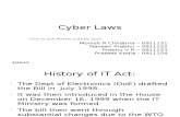 BL - Cyber Laws