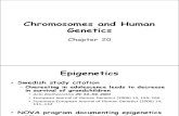Chromosomes and Human Genetics-Marked Up(2)