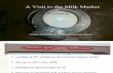 A Visit to the Milk Market Final