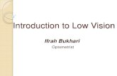 Introduction to Low Vision