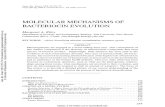 1998c Molecular Mechanisms of Bacteriocin Evolution