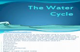 Biogeo Chemical Cycle -Watercycle
