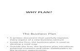 4. Business Plan Overview