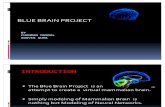 Blue Brain --- A NEW ERA IN COMPUTING