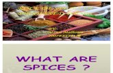 Role of Spices in Processed Foods Mansi Seminar