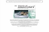 Annals of Anatomy 2011