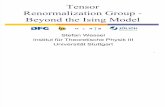 Stefan Wessel- Tensor Renormalization Group - Beyond the Ising Model
