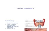 Copy of 17+%26+18-Thyroid+Disorders