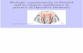 Biologic Considerations of Enamel Structure and Its Clinical Significance in Practice of Operative Dentistry