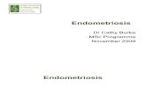 endometriosis therapi