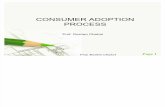 Internet Marketing - Consumer Adoption Process