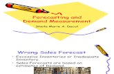 Final Reportn Forecasting and Demand Measurement
