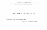 Licenta Document Final (3)