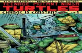 Teenage Mutant Ninja Turtles Vol 1 Preview