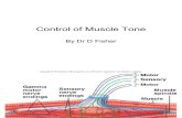 6.Control of Muscle Tone