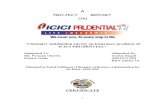 Customer Satisfaction Insurance Products of ICICI Prudential