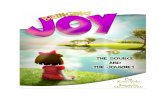 Bringing Joy to the Source and the Journey eBook