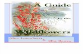 Lounsberry Alice & Ellis Rowan_A Guide to the Wildflowers