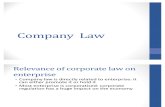 Business Law Chap 1 - Companies Act Notes