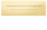 Fundamentals of Econometrics-i