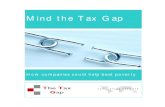 Mind the Tax Gap - Final - 15 Jan 2006