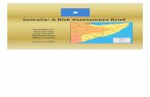 Somalia Risk Assessment Brief